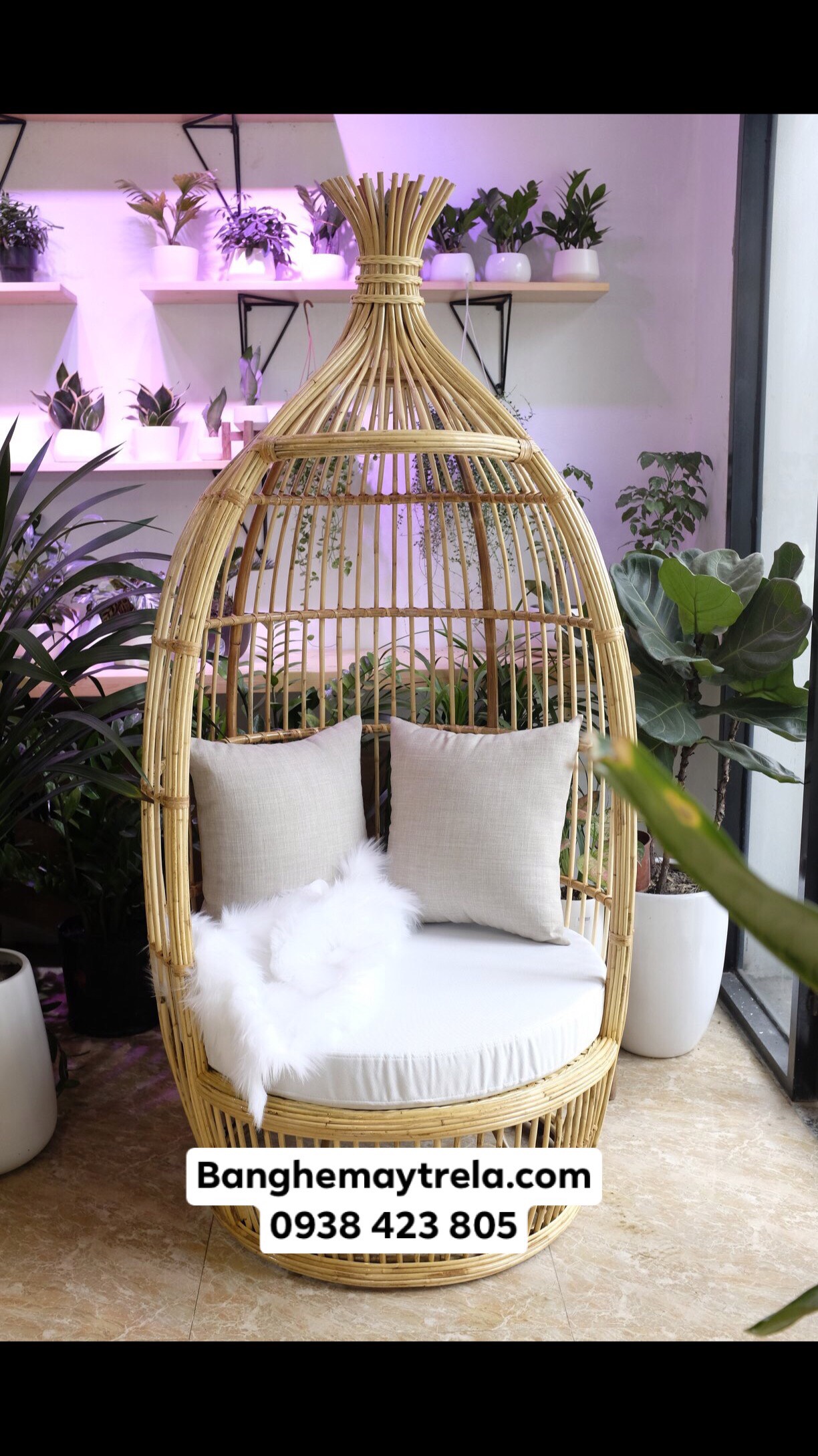 Ghế mây tổ chim decor trang trí